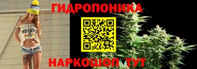 apvp Ирбит
