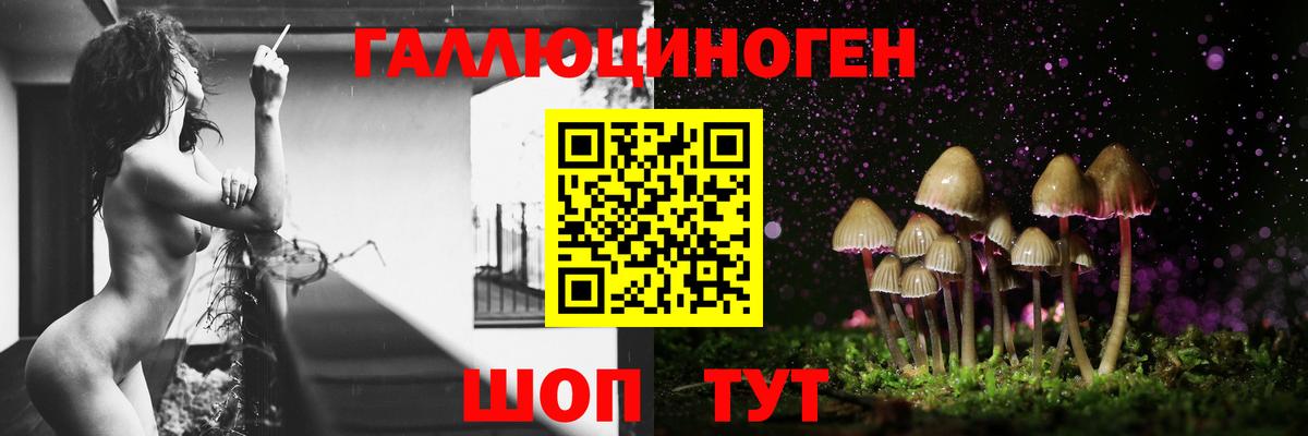 Псилоцибиновые грибы Psilocybine cubensis Кудымкар